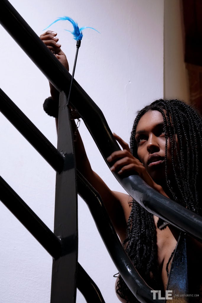 Ebony Teen Braids Feather Shaved Pussy Play 7