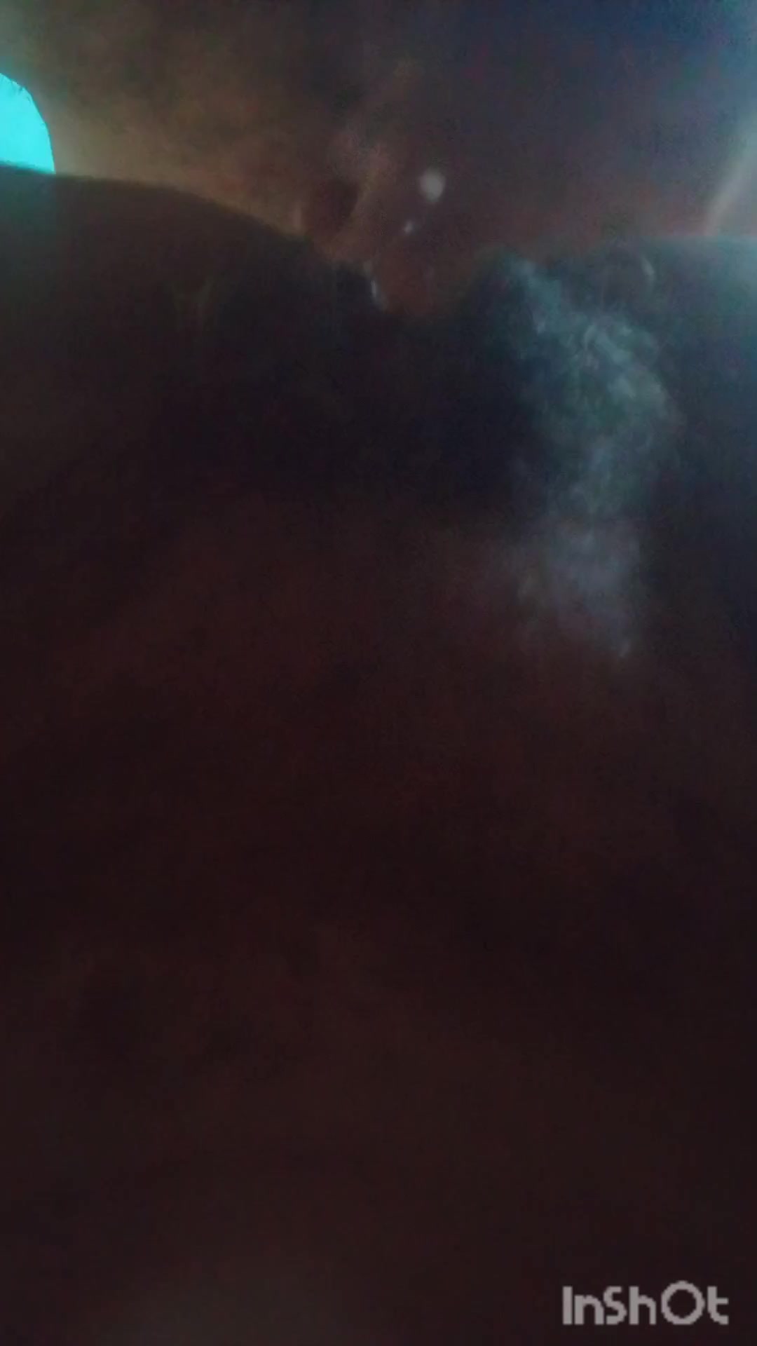 Dog42
